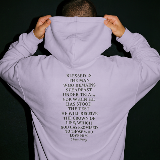 James 1:12 Crown of Life Christian Hoodie – Chosen Society