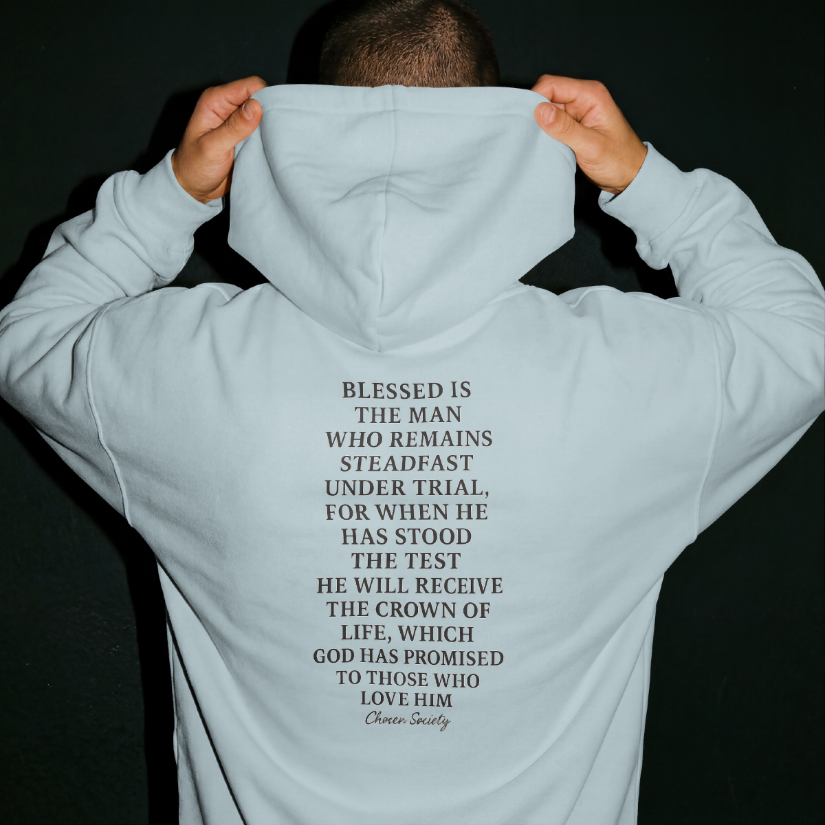James 1:12 Crown of Life Christian Hoodie – Chosen Society