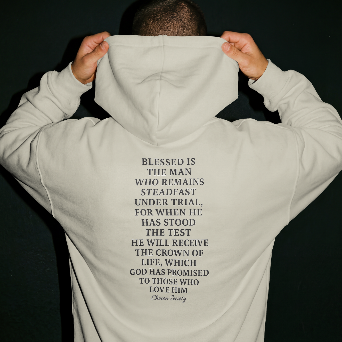 James 1:12 Crown of Life Christian Hoodie – Chosen Society
